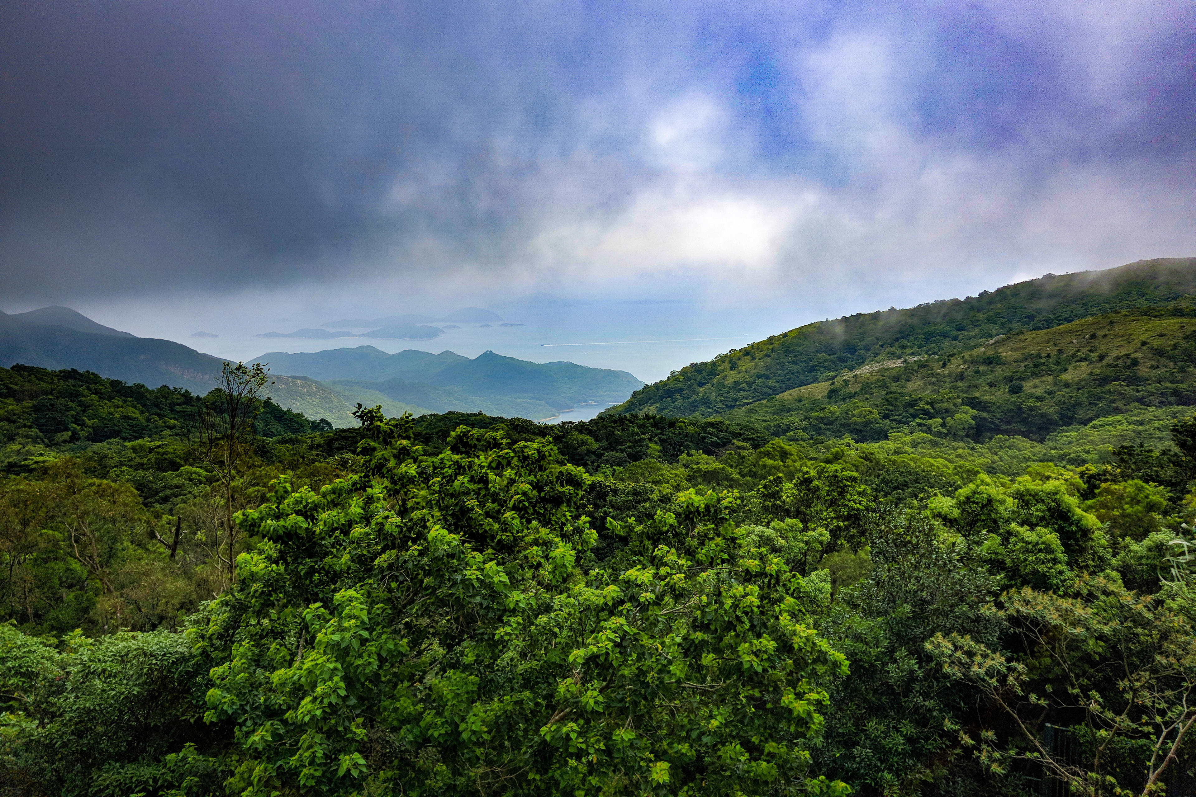 Forests on Lantau