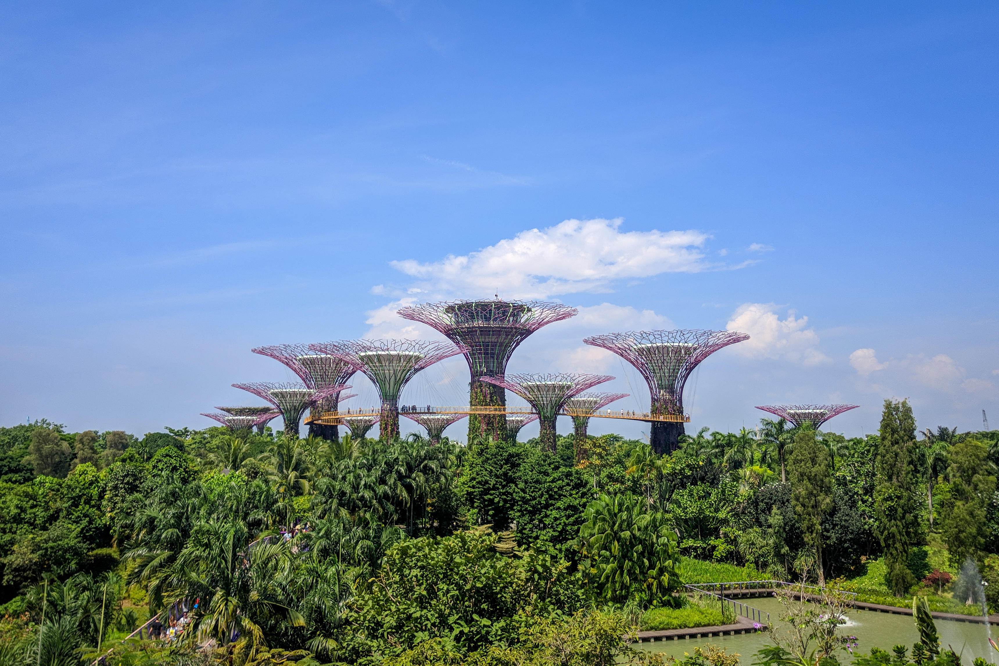 Gardens by the Bay