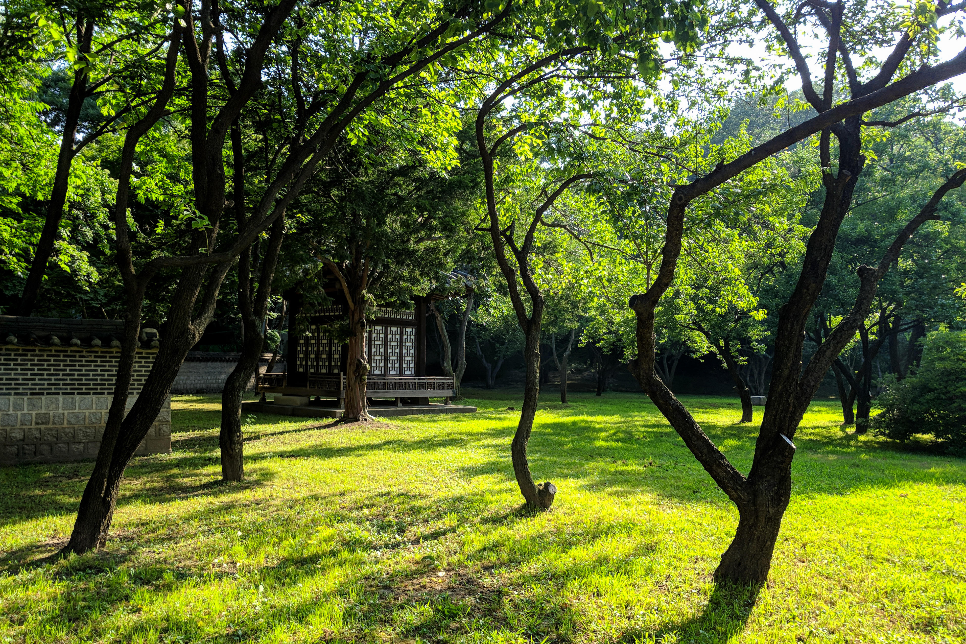 The Korean palaces are kept beautifully